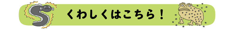 くわしくはこちら！