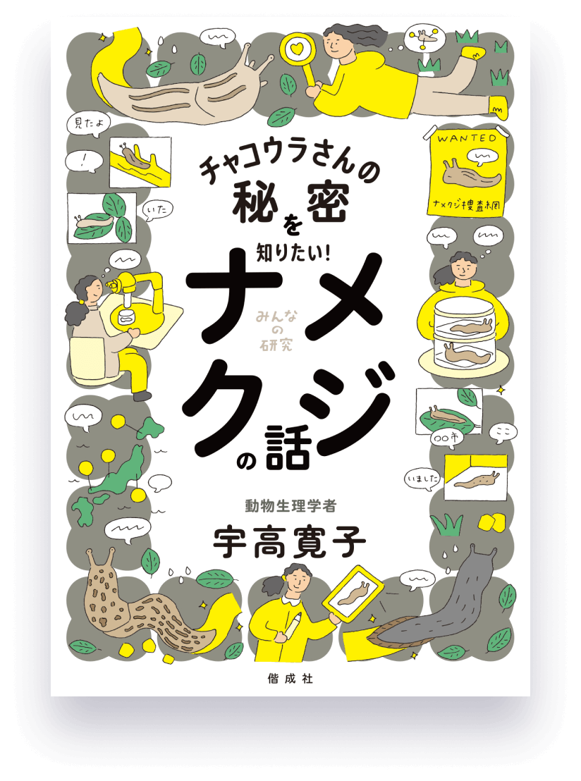 ブロックでなんでもつくる！ ビルダーの頭の中