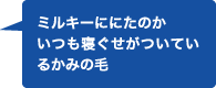 ミルキーににたのか いつも寝ぐせがついているかみの毛