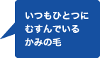 いつもひとつにむすんでいるかみの毛