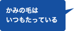 かみの毛はいつもたっている