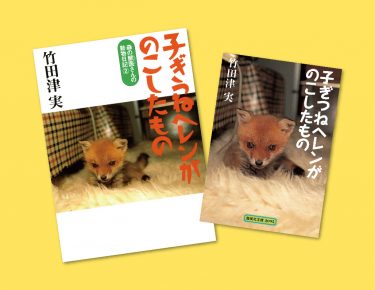 目が見えず、耳も聞こえないキツネの子が過ごした日々。『子ぎつねヘレンがのこしたもの』