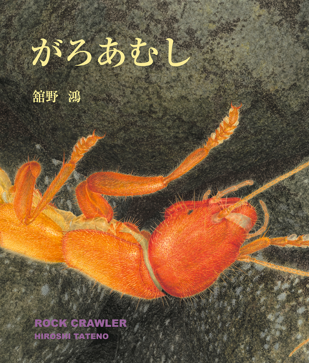 舘野鴻 絵本『がろあむし』出版記念展