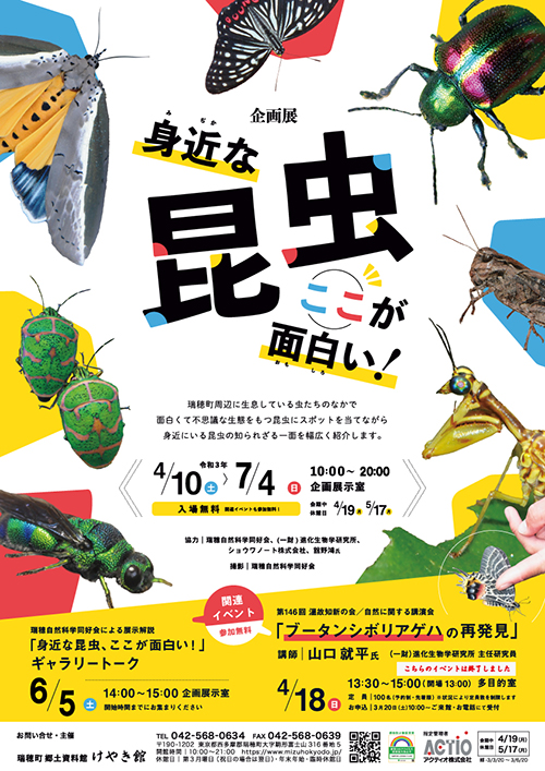企画展「身近な昆虫 ここが面白い！」