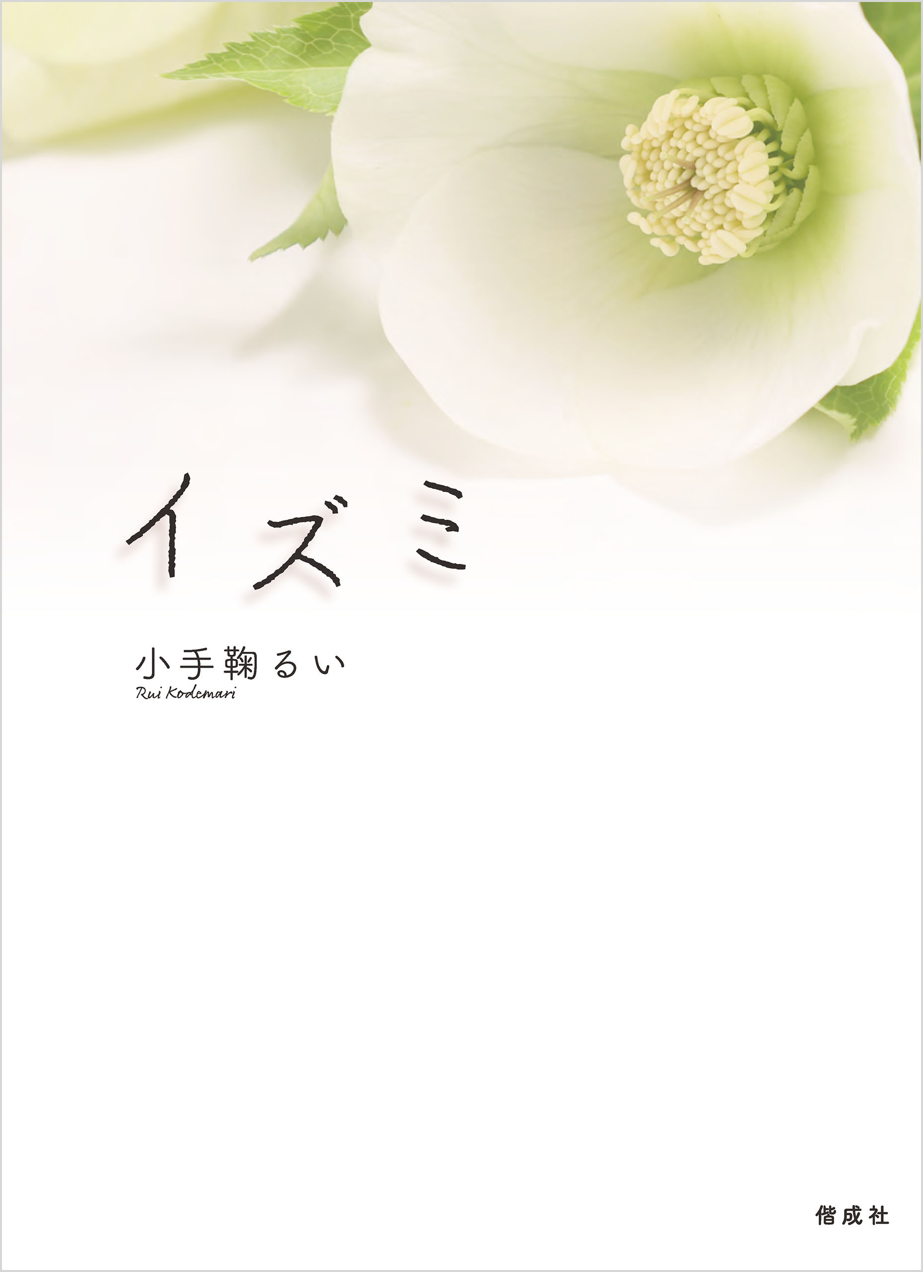 1/28電子書籍発売のお知らせ