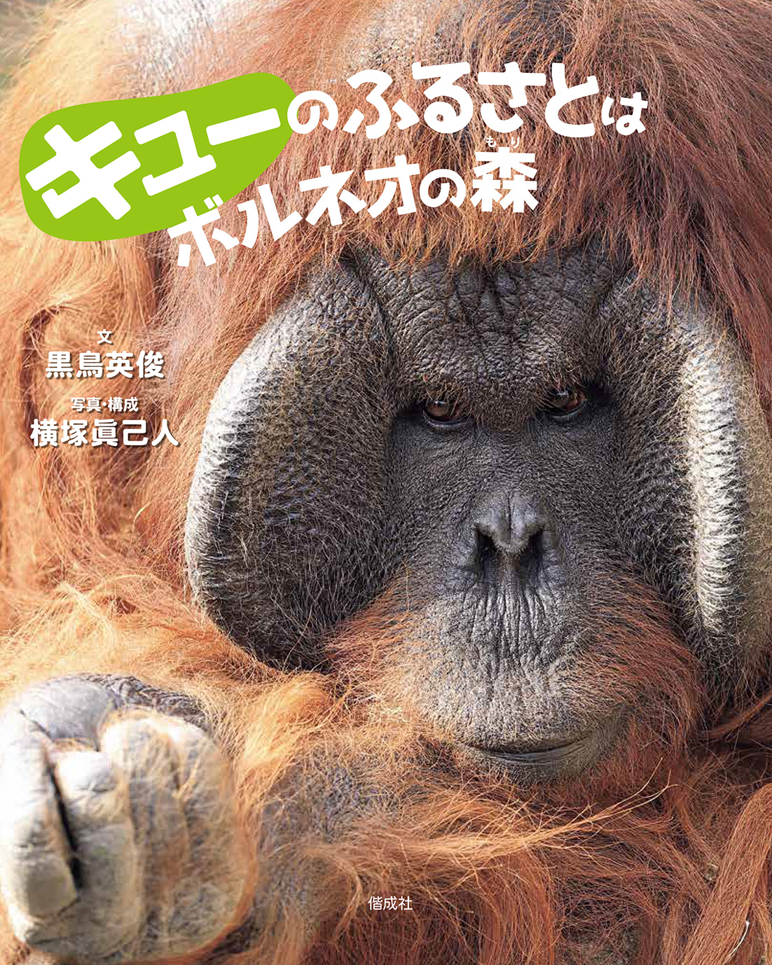 『キューのふるさとはボルネオの森 』 出版記念！　黒鳥英俊×横塚眞己人 クロストーク