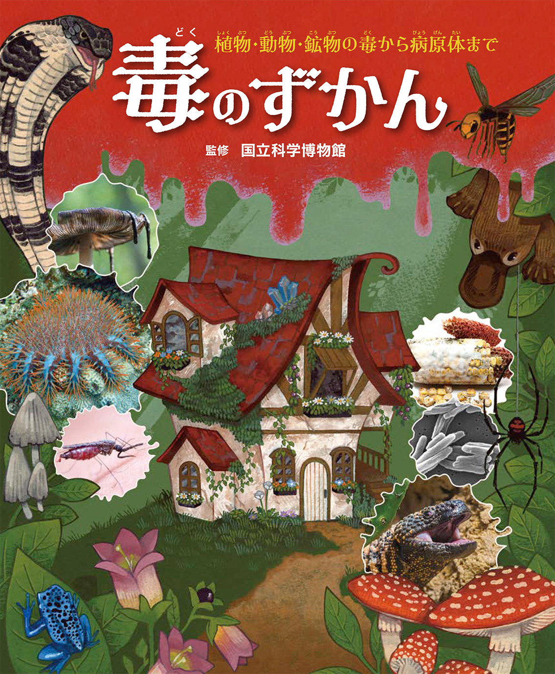 3/23電子書籍発売のお知らせ