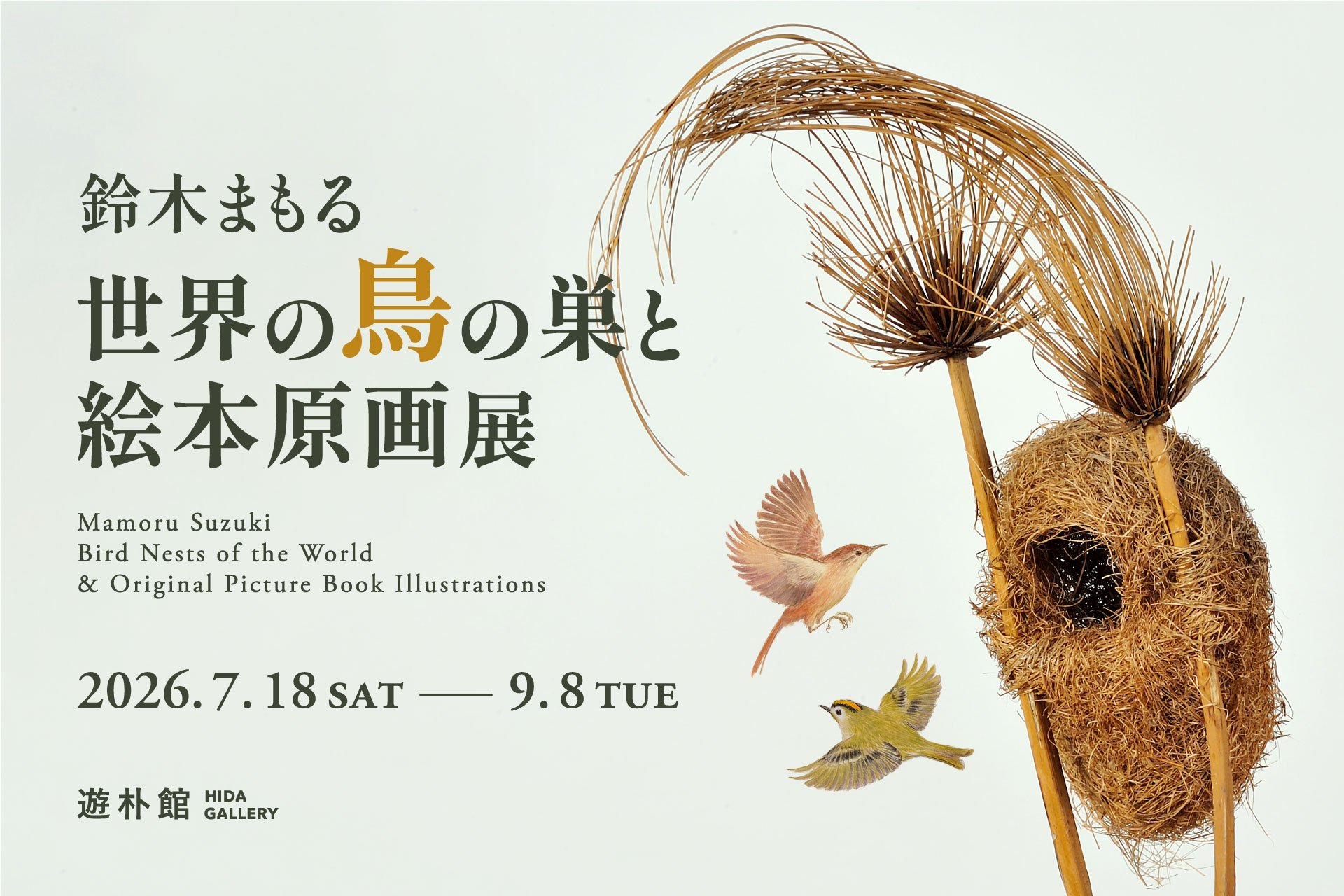 鈴木まもる 世界の鳥の巣と絵本原画展