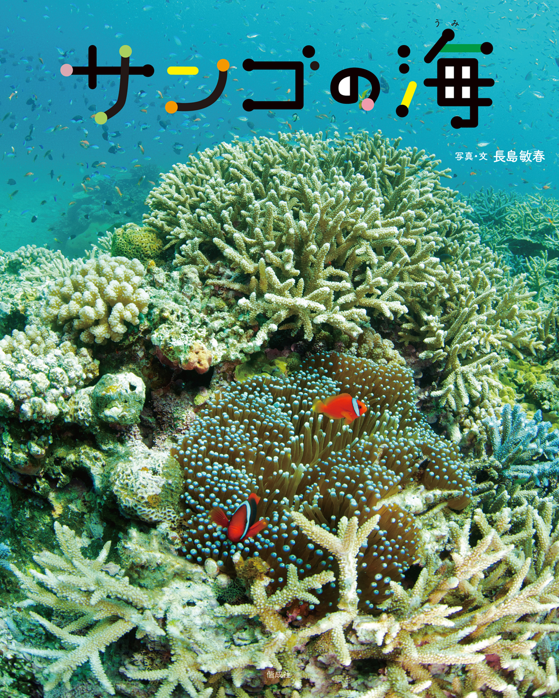 サンゴの海 偕成社 児童書出版社