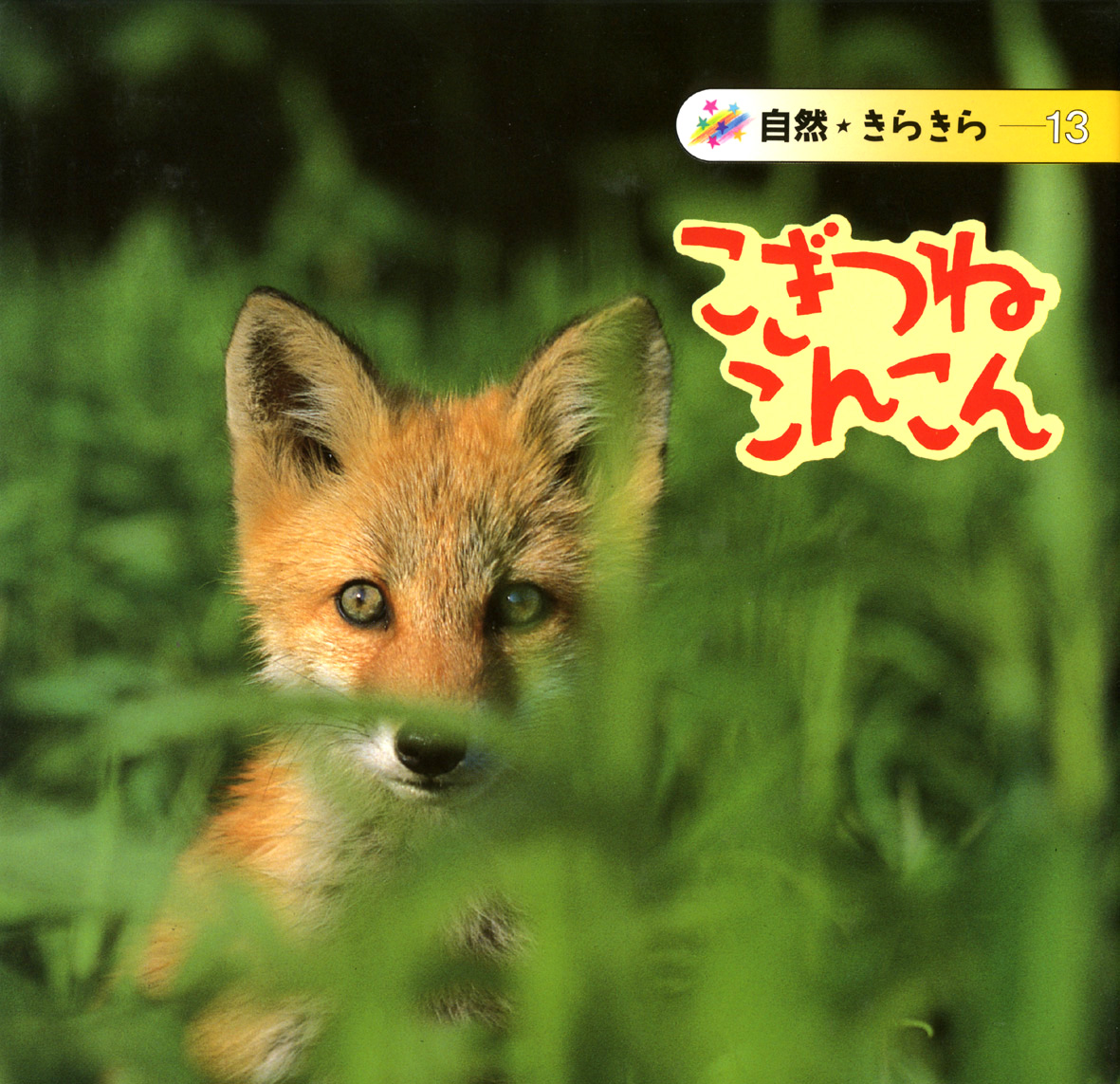 こぎつねこんこん 偕成社 児童書出版社