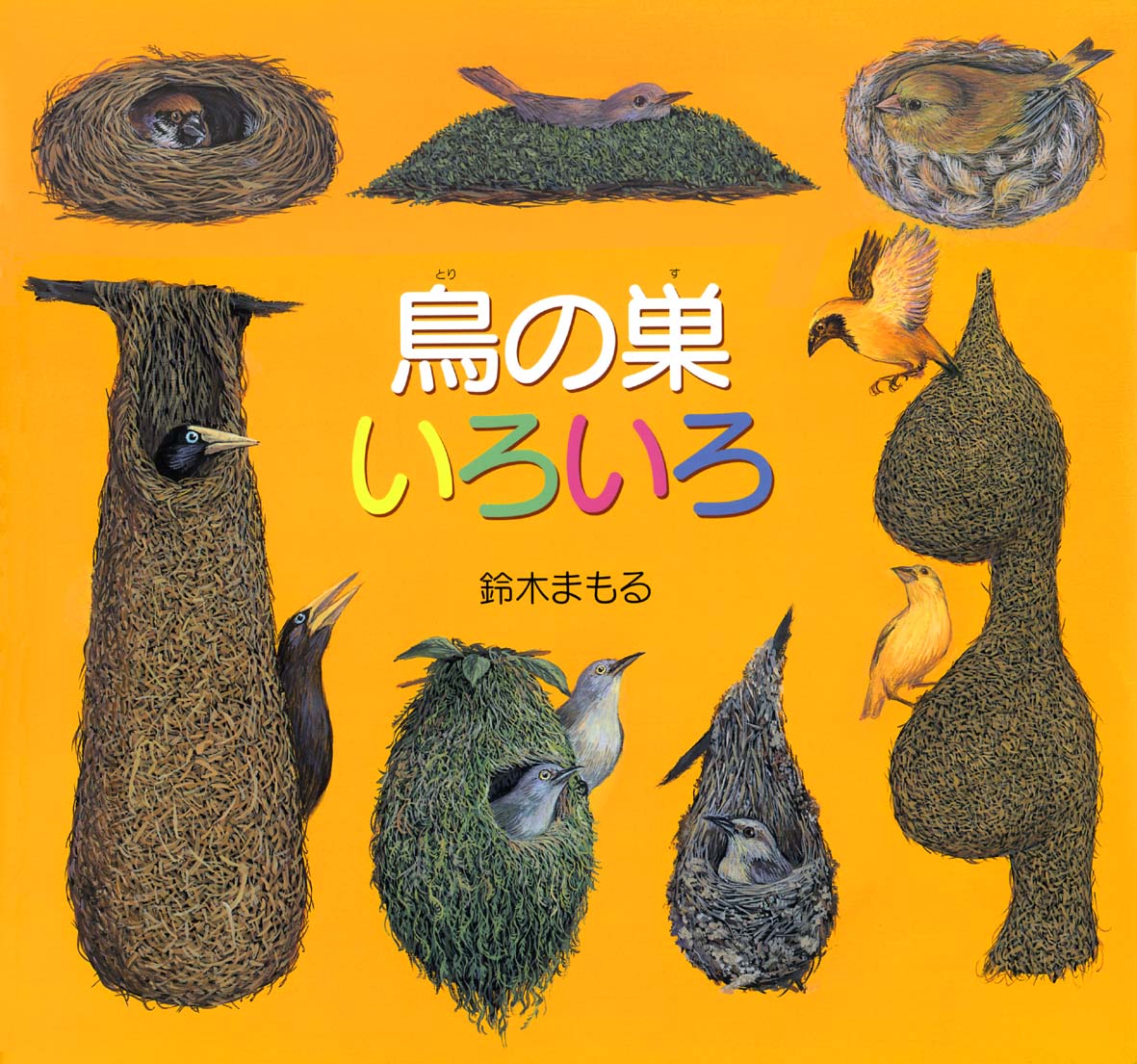 鈴木まもる・絵本原画と鳥の巣コレクション展 「鳥の巣がおしえてくれること」