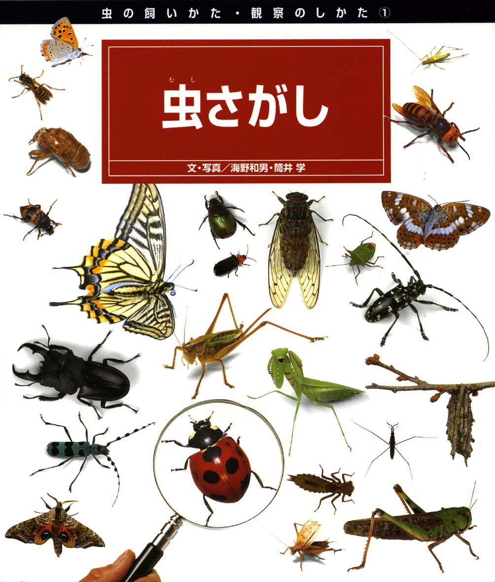 虫さがし 偕成社 児童書出版社 虫さがし 偕成社 児童書出版社