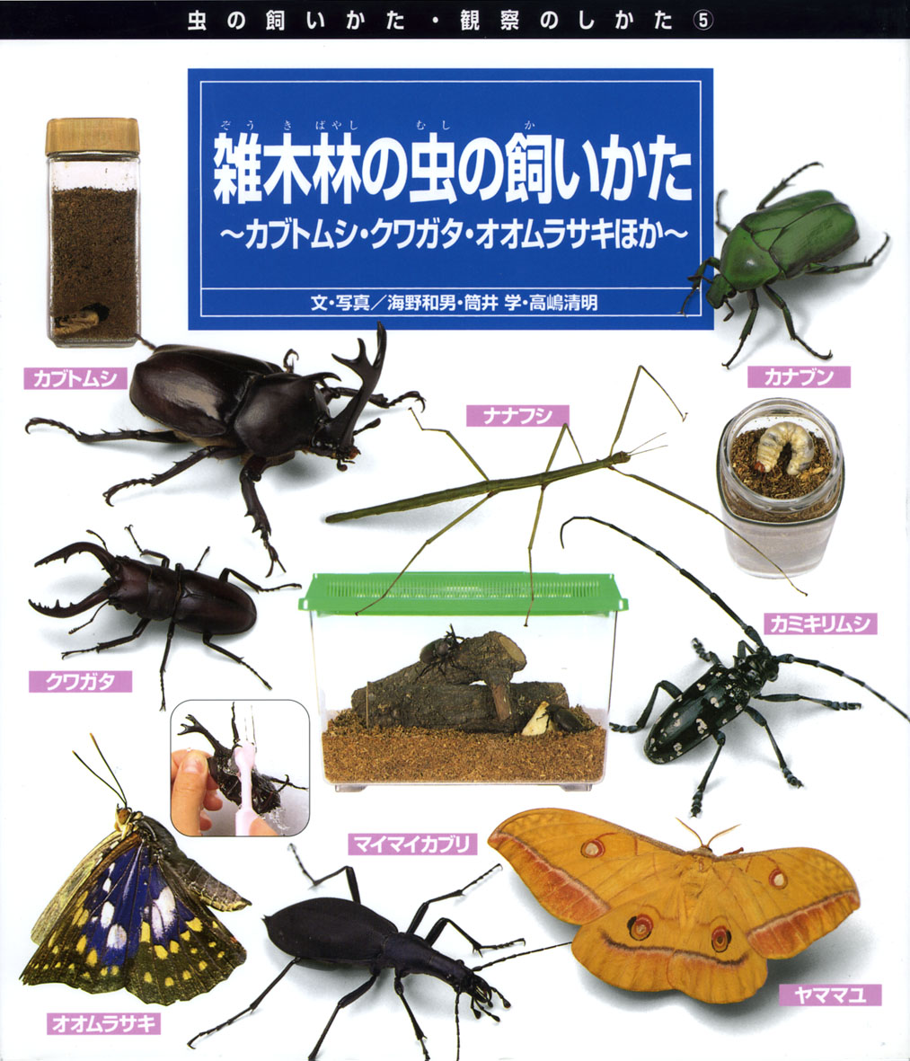 雑木林の虫の飼いかた 偕成社 児童書出版社 雑木林の虫の飼いかた 偕成社 児童書出版社