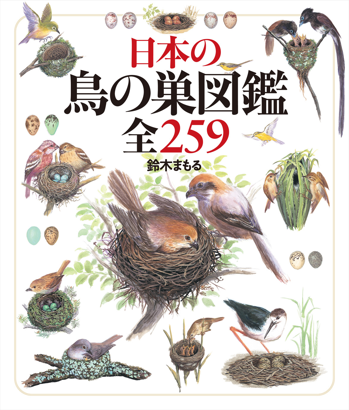 絵本作家・鈴木まもるコレクション「いのちのゆりかご　世界の不思議な鳥の巣 展」