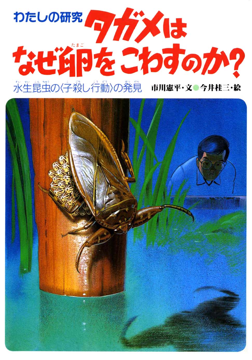 タガメはなぜ卵をこわすのか 偕成社 児童書出版社 タガメはなぜ卵をこわすのか 偕成社 児童書出版社